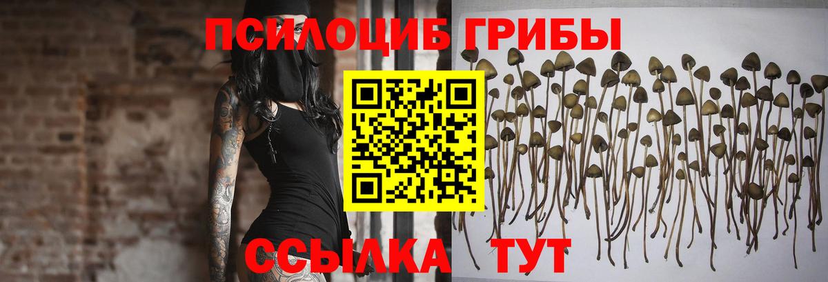 Псилоцибиновые грибы Magic Shrooms  Вход с VPN  Топки 