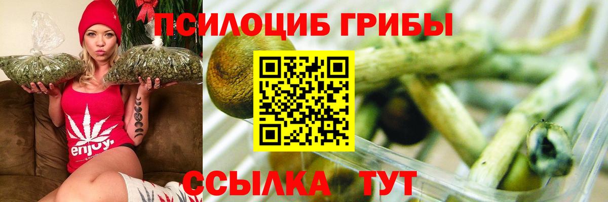 Псилоцибиновые грибы прущие грибы Топки